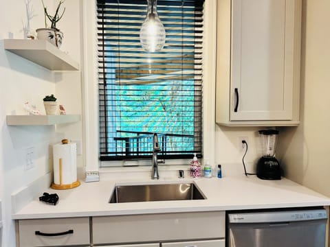 River View from the Kitchen Sink