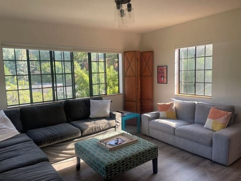 Living room - windows look into the trees from the 2nd floor