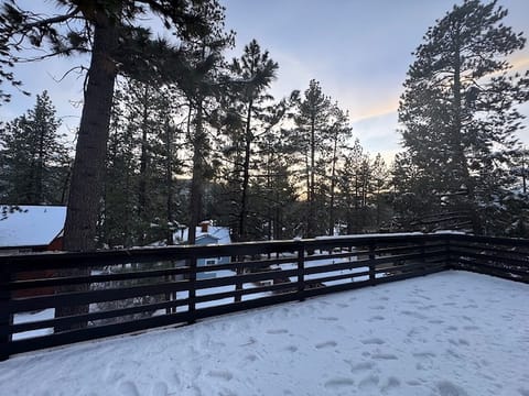 Upper deck bliss: snow and nature.