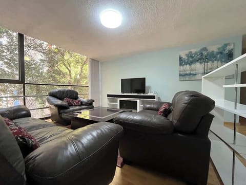 Sala con televisión , equipo de sonido y chimenea eléctrica