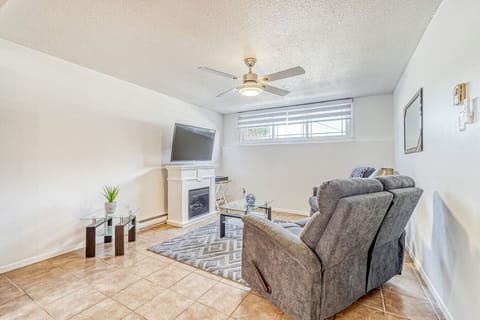 Electric fire place