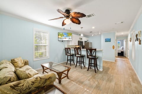 Queen-sized sleep sofa!