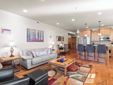 Living Area / Sofa Bed / Kitchen