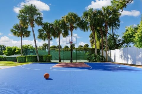 Basketball court