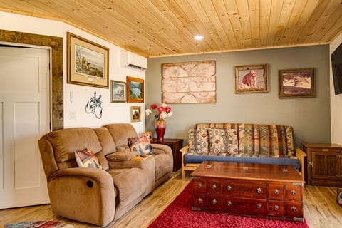 Living room with foldout sofa.