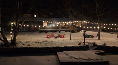 Magical lakefront evenings under the lights. 