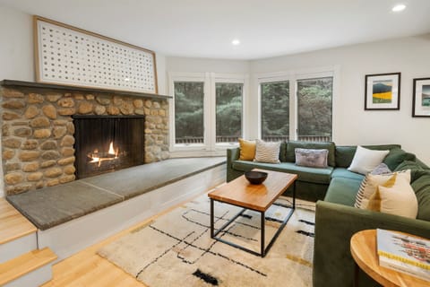 Living Room and Fireplace