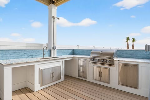 Grill area - Premium Blaze grill with lighted interior, controls