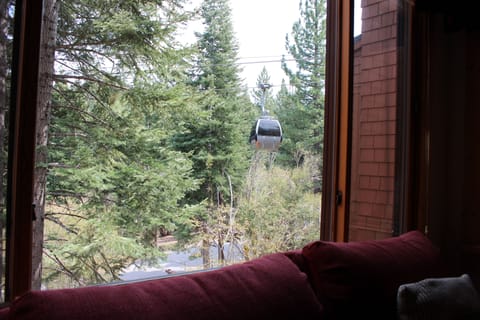 Gondola just outside living room window
