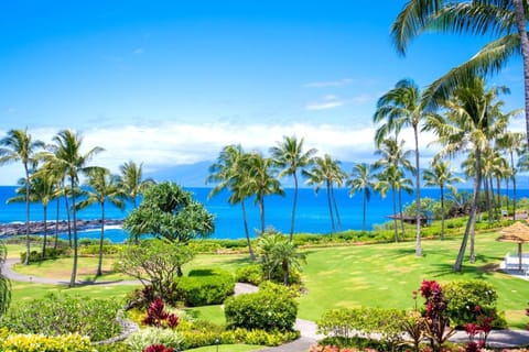  Wake to this tropical panorama: winding garden paths, waving palms, and the Pacific twinkling in the morning sun    MON-1304
