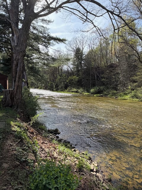 Relax and listen to the creek!