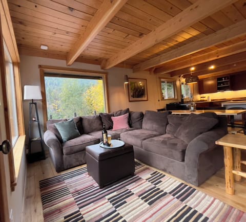 Open living area equipped with Sonos speaker, comfy blankets & wood stove