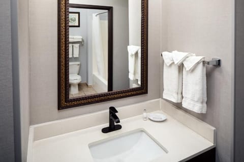 Start your morning smoothly with a bright sink and mirror.