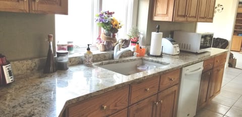 Marble counter tops