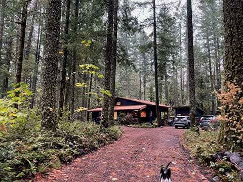 Nestled in the forest, yet half a mile to shopping center.