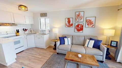 Living Area - Sleeper Sofa