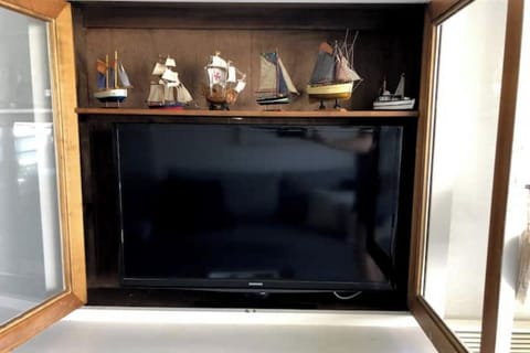 Television