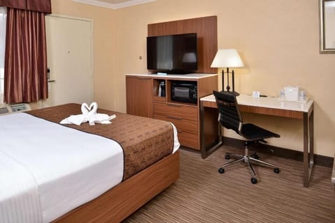 1 King Bedroom