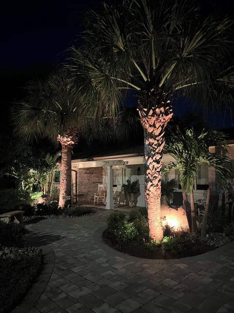 Dramatic landscape lighting highlighting mature palm trees and tropical gardens