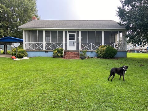 Front of house faces the lake, & a screen porch w/daybed and dining table.