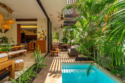 Heated pool surrounded by tropical calm