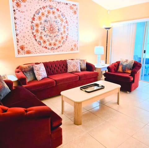 Sofa in our Kissimmee Home by Orlando Airport (MCO)