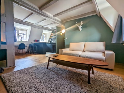 CityCosy  Strasbourg Authentic quai des Bateliers