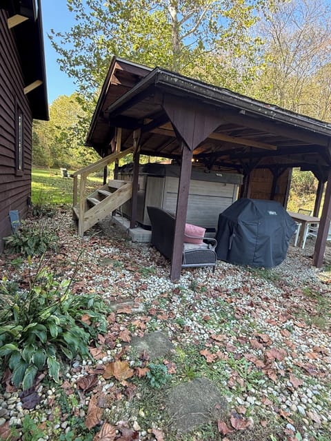 Swim spa & Weber grill