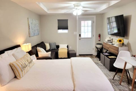 Spacious studio apartment with living space, dining area, queen size bed, kitchenette, and bathroom with walk-in shower.