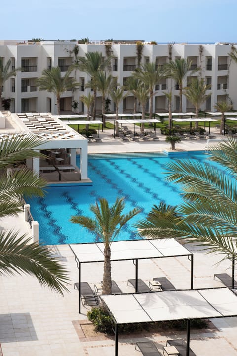 Lounge in the sun with palm-framed pool views all day.