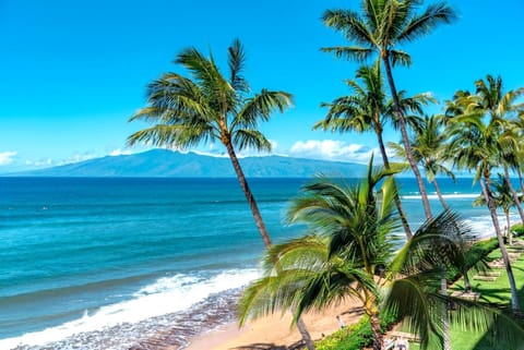 Relax in barefoot luxury where the gentle surf meets vibrant Hawaiian skies HKH-323