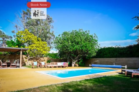 Pool (Outdoor)