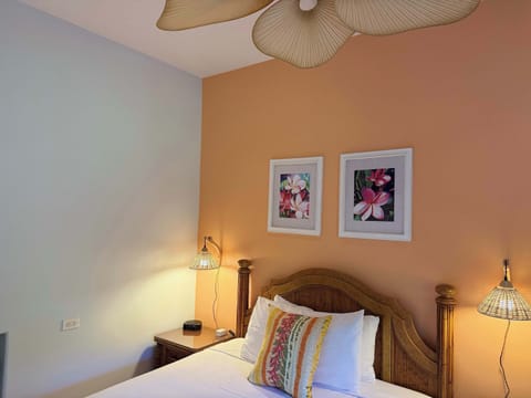 Plumeria Room with queen bed, comfort of AC, ceiling fan, smart TV.