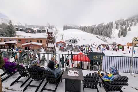 Nature, Outdoors, Snow, Fir, Tree