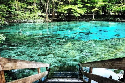 Ginnie springs 