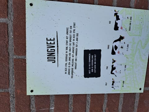 cab475c4bc149988-23331-f9374231a688b43c1756982911