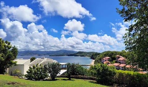 Veiw from Garden