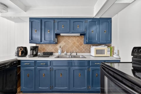 Indoors, Kitchen, Sink, Sink Faucet, Appliance