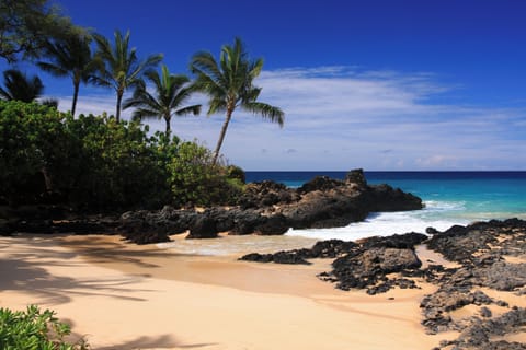 Beautiful Maui Beach!