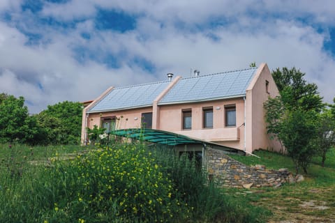 Billita in early Spring. Nature has arranged the flowers.