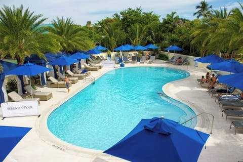 Dive into crystal-clear waters framed by swaying tropical palms.
