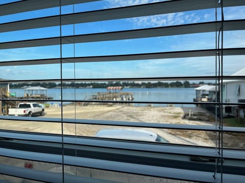 Spoonbill View from Kitchen.