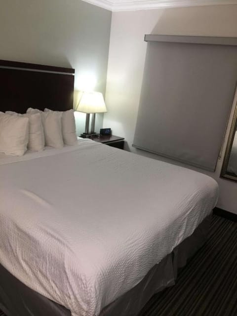 1 King Bedroom