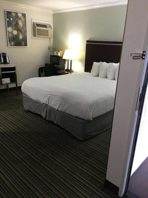 1 King Bedroom