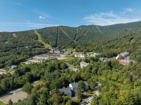 Come visit the Green Mountains jut a 5 min walk to the base of Sugarbush