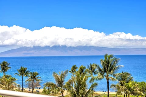 HKH-550 Gaze at the palm trees against a backdrop of sparkling turquoise ocean