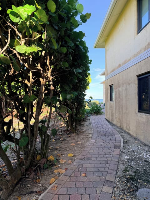 Peaceful path to the back deck and beach