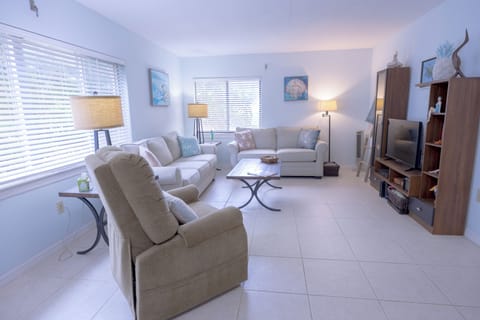 Living room and entertainment area