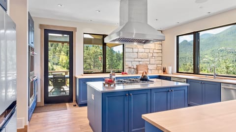 Indoors, Kitchen, Cooktop, Home Decor, Rug