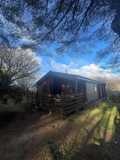 Blue skies in February